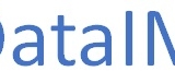 IK avatar